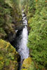 De vallei van de Englishman River bij Parkville op Vancouver Island