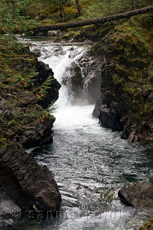 Een stroomversnelling in de Little Qualicum River op Vancouver Island