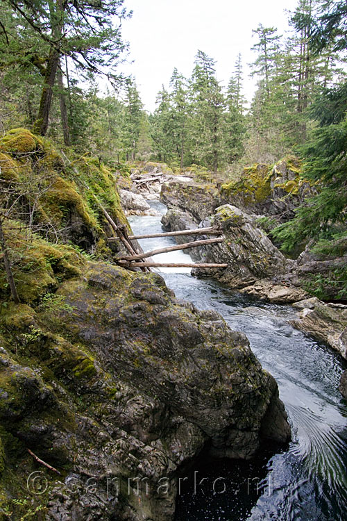 Uitzicht op de schitterende natuur van de Little Qualicum Falls Prov. Park