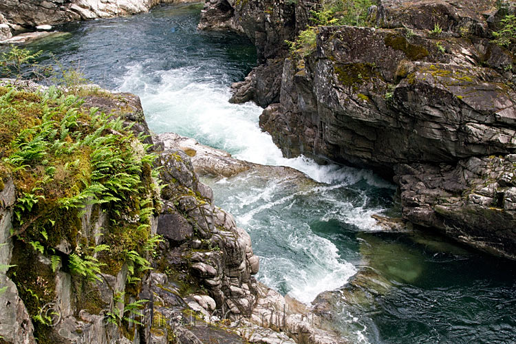 De Little Qualicum River aan de Alberni Highway op Vancouver Island