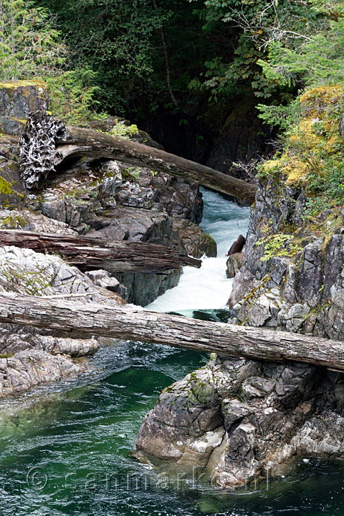 Grote boomstammen boven de Little Qualicum River op Vancouver Island