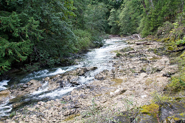 De Little Qualicum River op Vancouver Island gezien vanaf het wandelpad