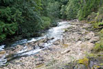 De Little Qualicum River op Vancouver Island gezien vanaf het wandelpad