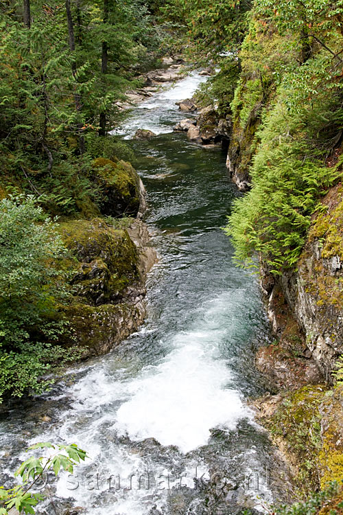 Vanaf het wandelpad een schitterend uitzicht over de vallei van de Little Qualicum River