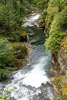 Vanaf het wandelpad een schitterend uitzicht over de vallei van de Little Qualicum River