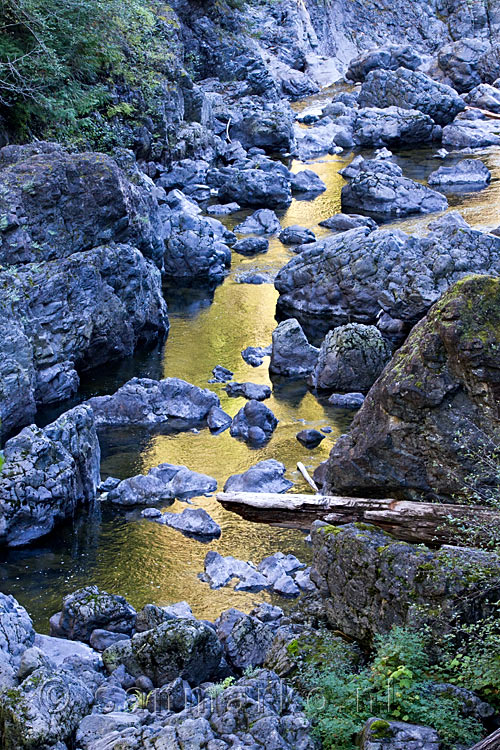 De schitterende schittering van de zon op de Sooke River op Vancouver Island