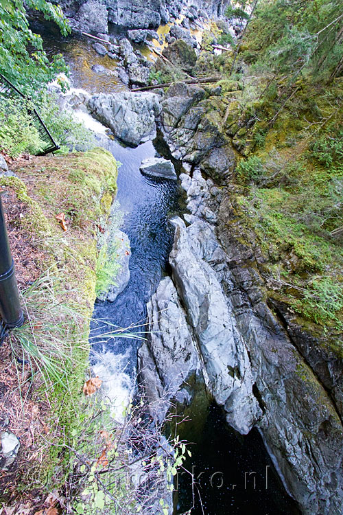 De wand van de vallei van de Sooke River is nogal steil