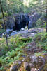 De natuur rondom het wandelpad bij de Sooke Potholes op Vancouver Island