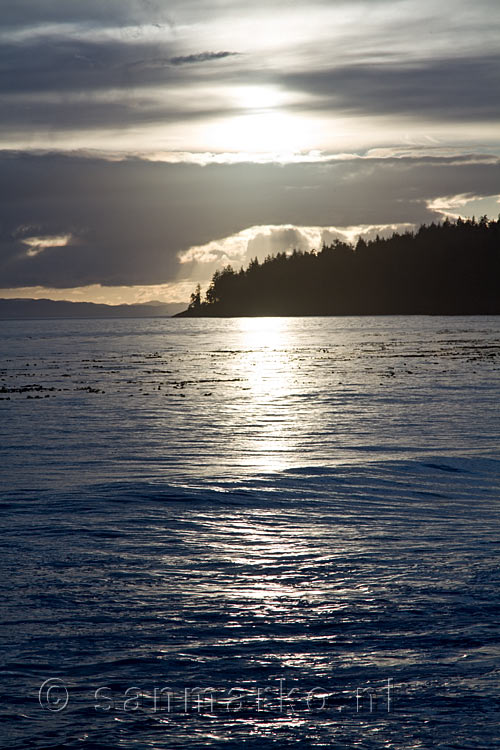 Uitzicht op de kust van Pacific Rim NP op Vancouver Island