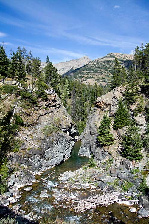 Een mooi uitzicht over de Blakiston River in Waterton Lakes NP