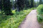 De mooie natuur langs het wandelpad naar Wall Lake in Waterton Lakes NP