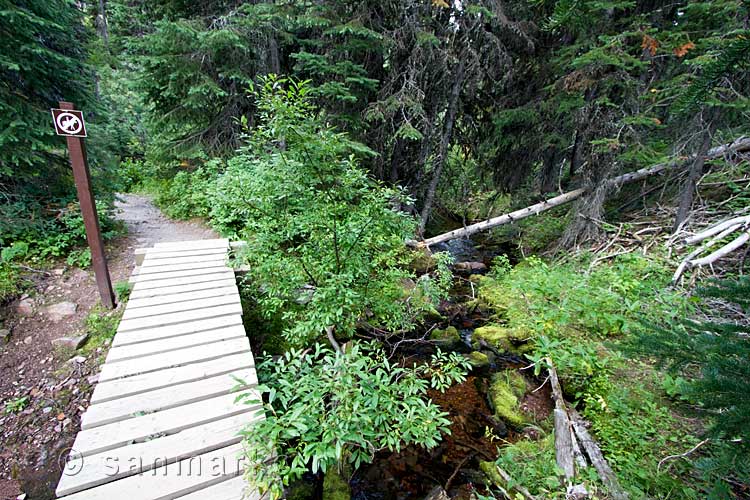 Een brug over een stroompje bij Wall Lake in Waterton Lakes NP