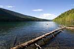 Vanaf een boomstam genieten we van Clearwater Lake in Wells Gray Prov. Park