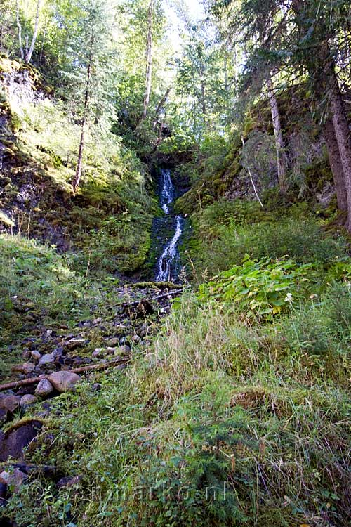 Een leuke kleine waterval bij Moul Falls in de mooie natuur