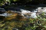 De rivier aan de onderkand van de Silvertip Falls in Wells Gray Prov. Park