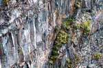 Begroeiing op de rotsen bij de Spahats Falls in Wells Gray Prov. Park