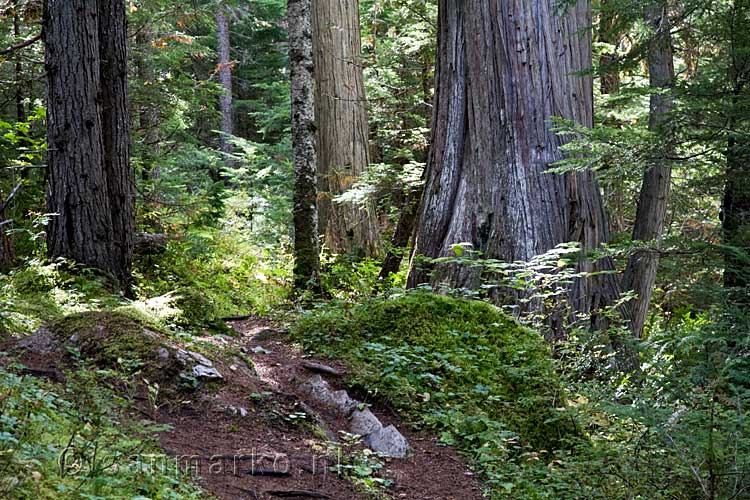 Ontzettend mooie natuur bij de West Lake Loop in Wells Gray Prov. Park