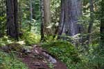 Ontzettend mooie natuur bij de West Lake Loop in Wells Gray Prov. Park