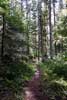 Het wandelpad van de West Lake Loop in Wells Gray Provincial Park