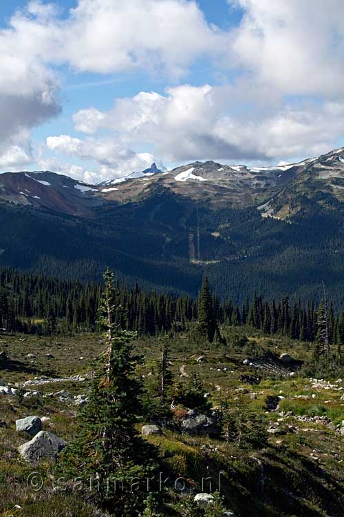 De Black Tusk gezien van de Blackcomb Mountain bij Whistler