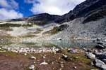 Een leuk meertje bij de Blackcomb Peak tijdens de wandeling bij Whistler