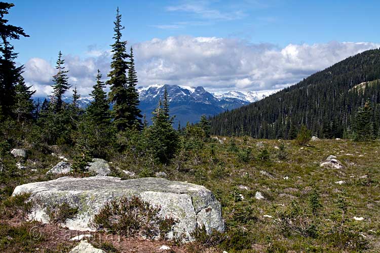 Een mooi uitzicht op een open vlakte op de Blackcomb Mountain