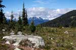 Een mooi uitzicht op een open vlakte op de Blackcomb Mountain