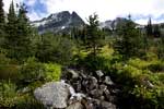 Tijdens de wandeling door de mooie natuur bij de Blackcomb Mountain