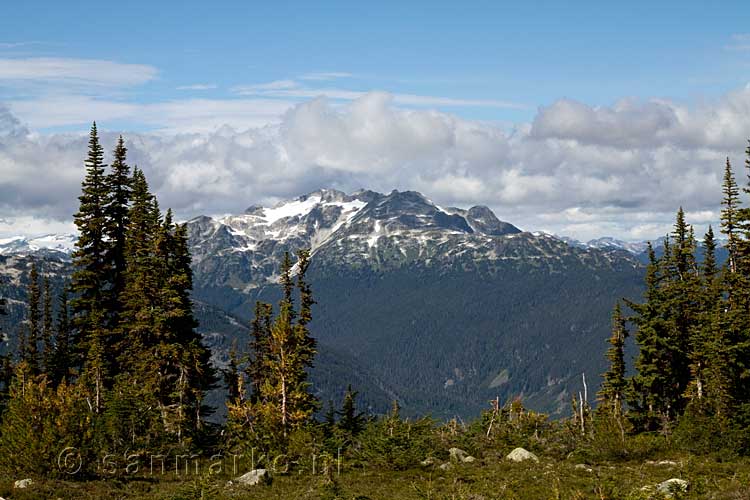 Vanaf het wandelpad een uitzicht op Rainbow Mountain bij Whistler