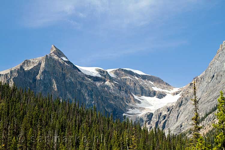 Emerald Peak bij Emerald Lake in Yoho National Park in Canada