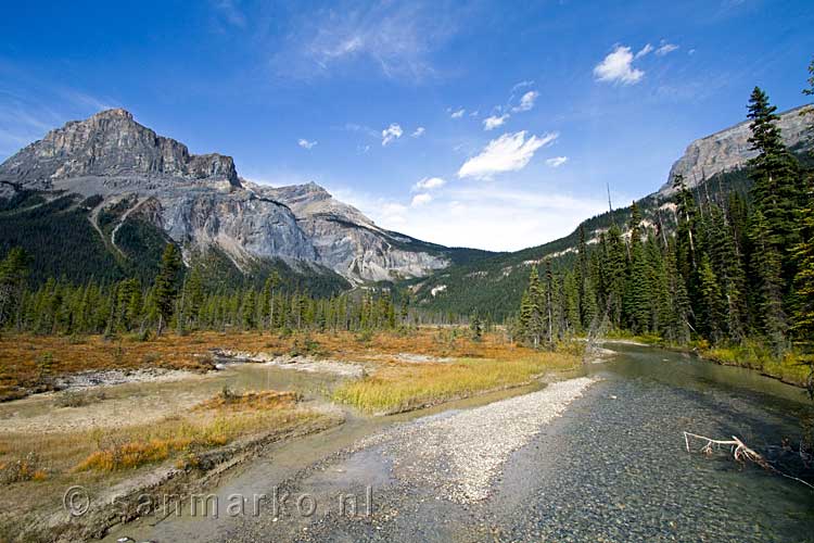 Langs Emerald Lake het uitzicht op Mount Ogden in Yoho National Park