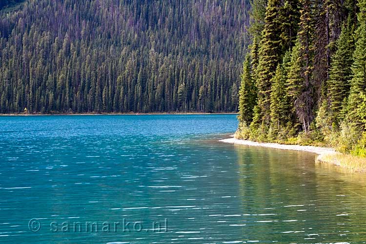 Uitzicht over het blauwe Emerald Lake in Yoho National Park