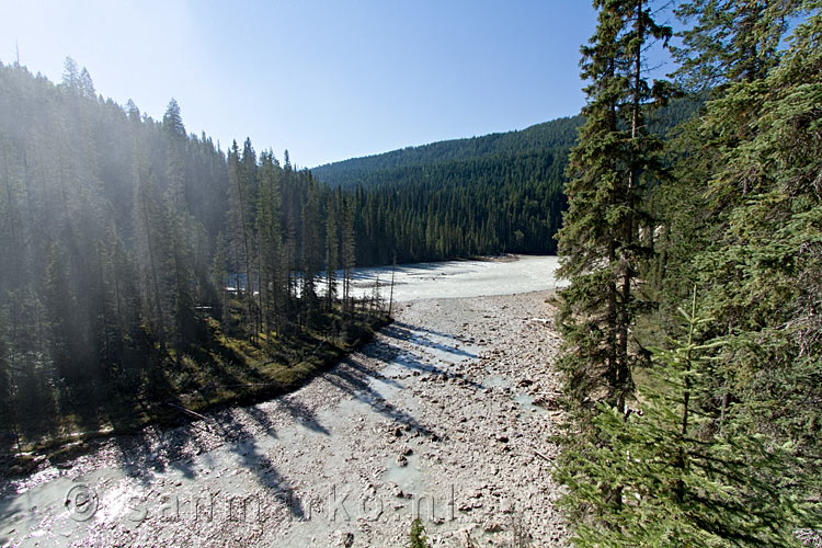 De Kicking Horse River na de Wapta Falls in Yoho NP