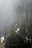 De mist over de Kicking Horse River bij de Wapta Falls