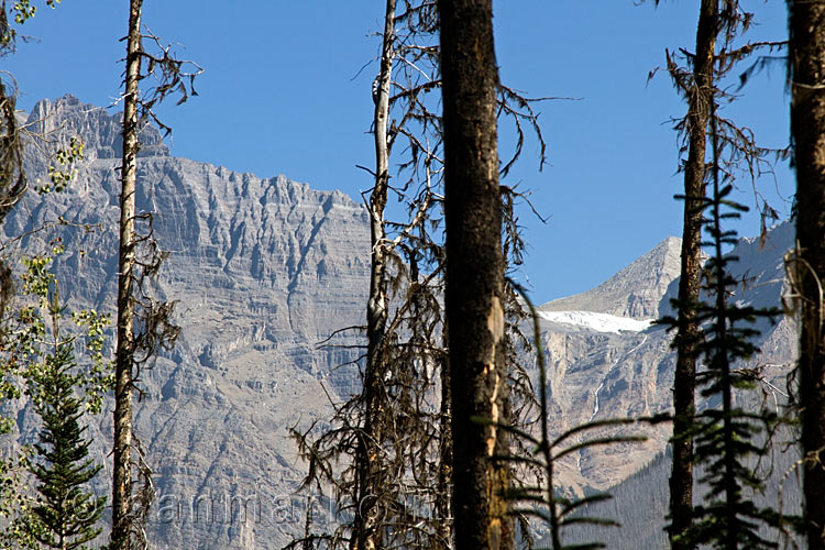 Vanaf het wandelpad naar de Wapta Falls het uitzicht over Yoho NP