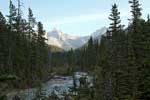 Uitzicht over de rivier bij de Takakkaw Falls in Yoho National Park