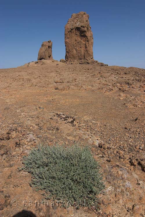 Uitzicht op de bekende Roque Nublo op Gran Canaria