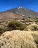 Een schitterend uitzicht op de vulkaan Teide op Tenerife