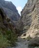 Vanaf het wandelpad het uitzicht op het dal van Masca op Tenerife