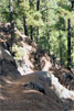 Het wandelpad van Los Brecitos naar Playa de Taburiente in de Caldera de Taburiente