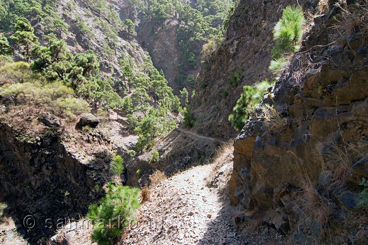 Afdalen in de Barranco de las Angustias in de Caldera de Taburiente op La Palma