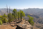 Vanaf Altavista het uitzicht over het (bos)landschap van Gran Canaria