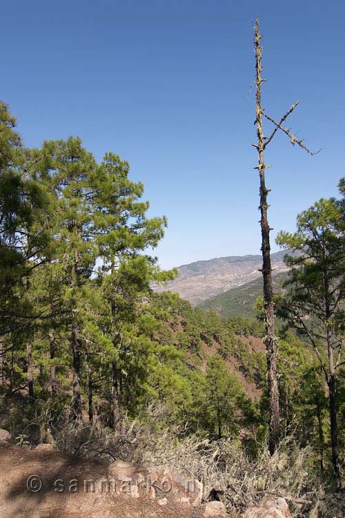 Het uitzicht tijdens de wandeling naar Altavista op Gran Canaria