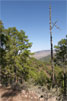 Het uitzicht tijdens de wandeling naar Altavista op Gran Canaria