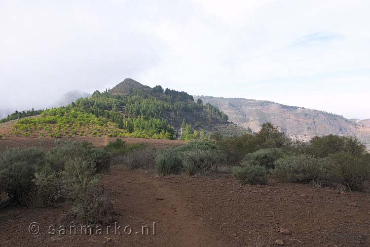 Vanaf Barranco de Mina wandelen we naar beneden naar Cruz de Tejeda