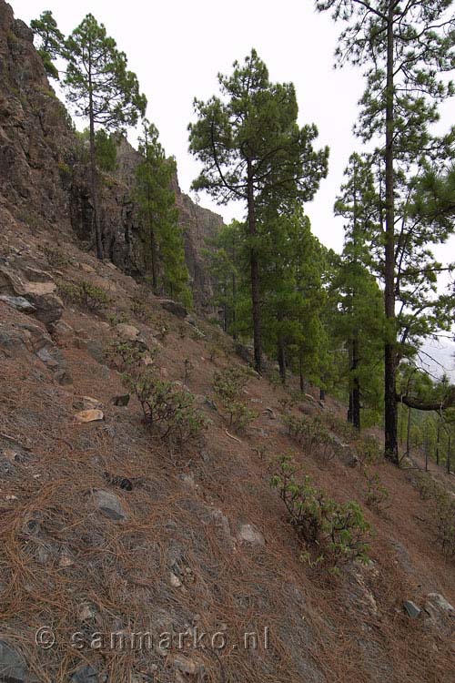 Wandelend langs een steile hellingen bij Cruz Grande op Gran Canaria