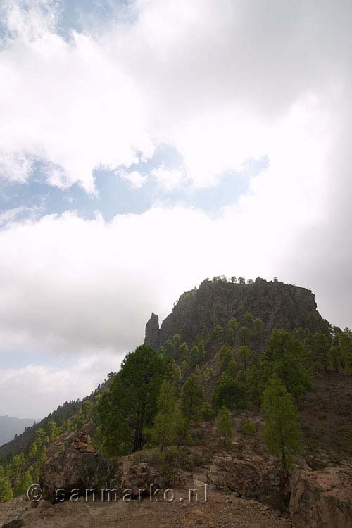 Het uitzicht op de natuur tijdens de wandeling bij Cruz Grande op Gran Canaria