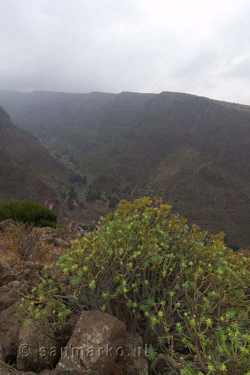 Vanaf het wandelpad het uitzicht op het dal van Guayadeque