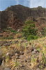 Het einddoel boven op de rots van deze wandeling door Guayadeque