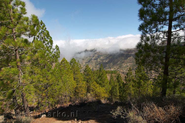 Wolken drijven over de bergen onderweg naar Roque Nublo